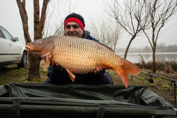 Cenusaru - 154935.jpg